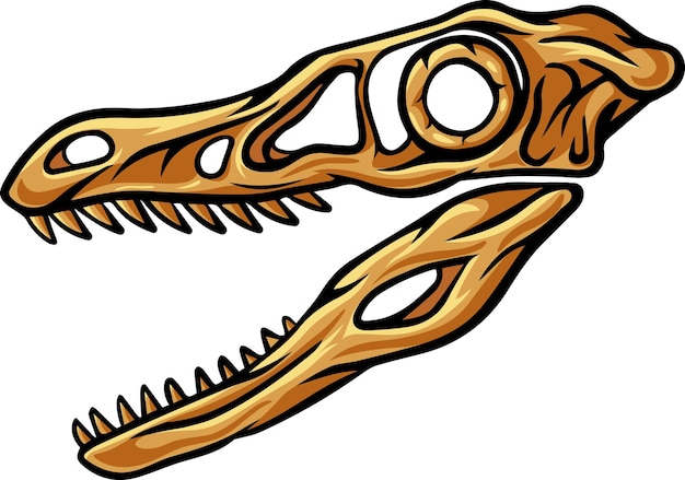 Vector fósil de cráneo de dinosaurio printvelociraptor