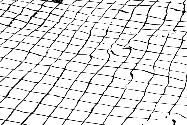 Vector una foto en blanco y negro de una cerca con un patrón en blanco y negro.