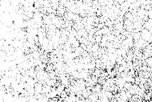 una foto en blanco y negro de un fondo blanco con muchas manchas blancas y negras