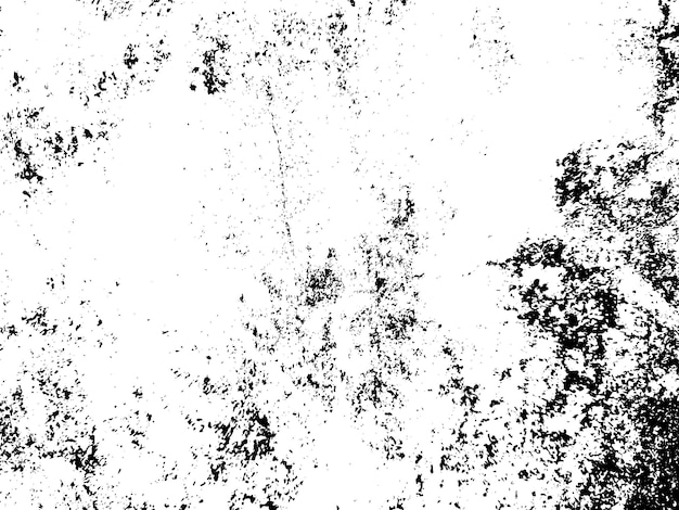 una foto en blanco y negro de un fondo blanco con un punto blanco y negro