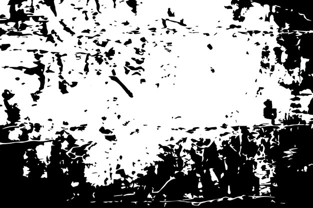 una foto en blanco y negro de una foto en negro y blanco con un fondo en blanco y negra