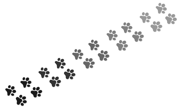 una foto en blanco y negro de una huella de la pata de un perro