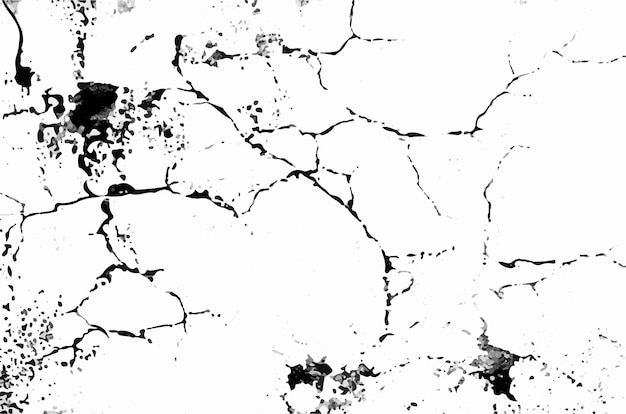 una foto en blanco y negro de una pared agrietada