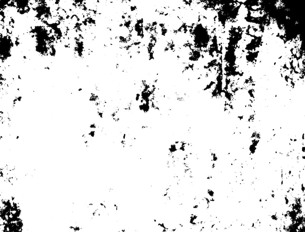 una foto en blanco y negro de una pared blanca con un fondo blanco y negro.