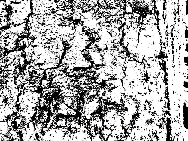 una foto en blanco y negro de una roca con una pequeña letra en ella