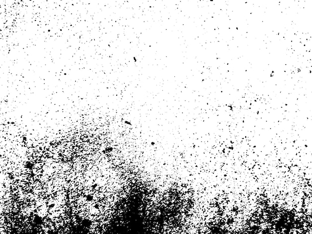 Fotografía en blanco y negro de un árbol en el fondo.