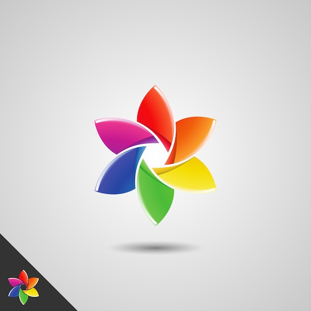 Fotografía con concepto de flores de colores