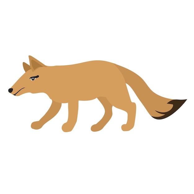 Vector fox animal vector ilustración icono imagen