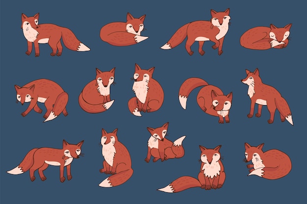 Fox bosque animales vector ilustraciones conjunto