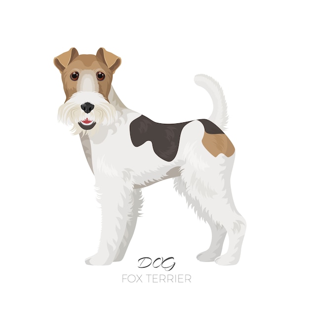 Vector fox terrier perro bonita mascota