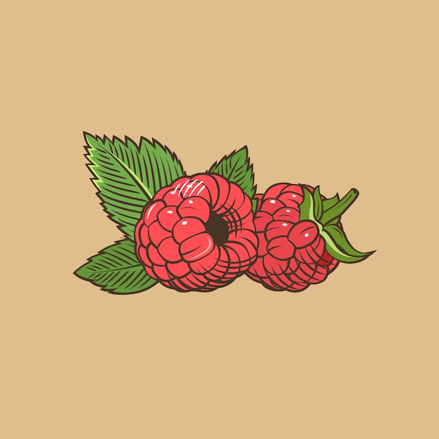 Frambuesa en estilo vintage