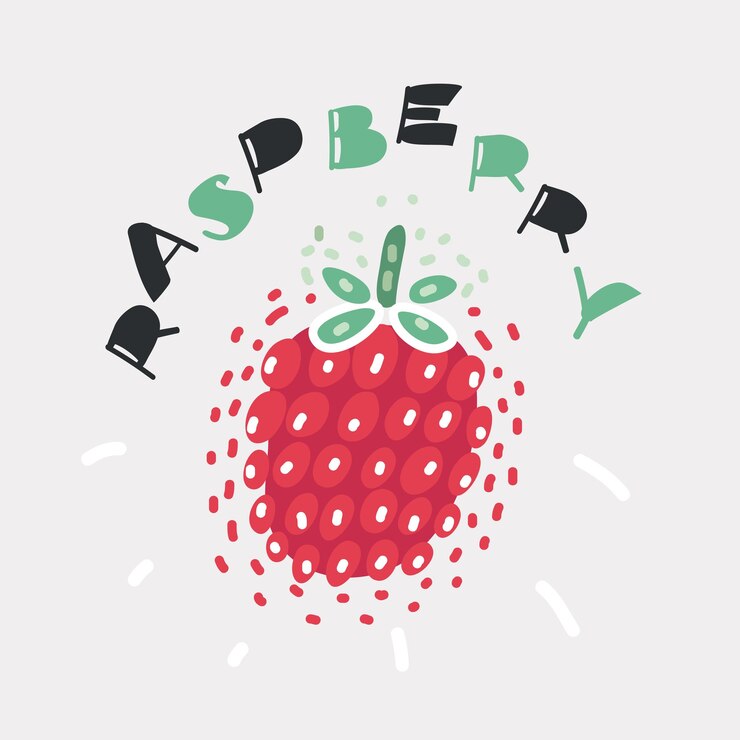 Vector frambuesa de pintura acuarela dibujada a mano sobre fondo blanco ilustración vectorial de bayas bosquejo de objeto a mano alzada y nombre de letras dibujadas a mano