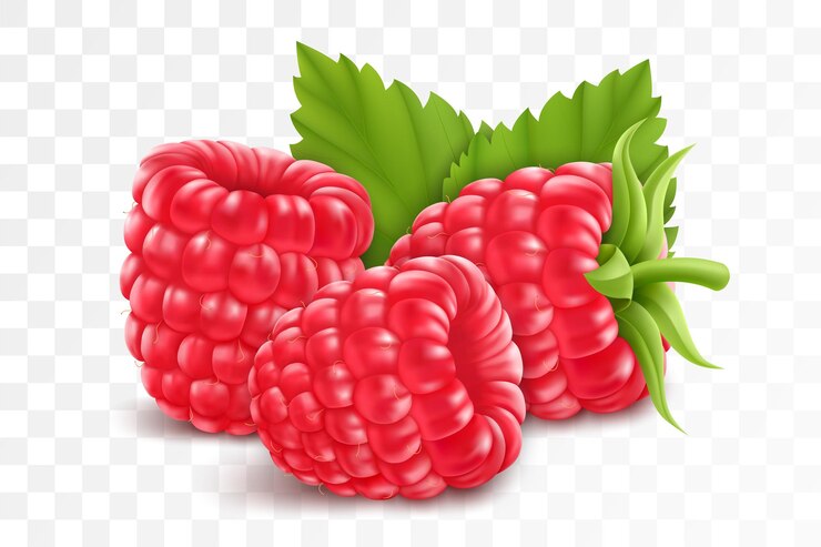 Vector frambuesas aisladas sobre fondo transparente fruta de verano natural ilustración de vector 3d realista ingrediente para jugos mermeladas yogures compotas mockup para diseño de paquete