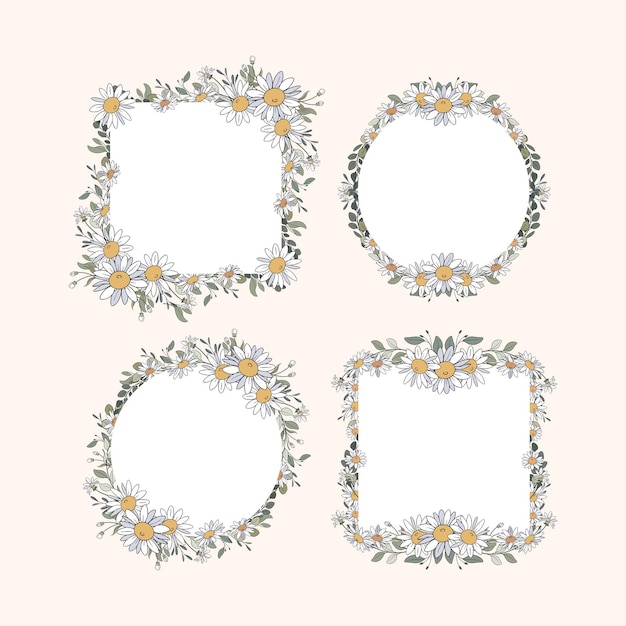Frame de hojas y flores de margarita dibujadas a mano