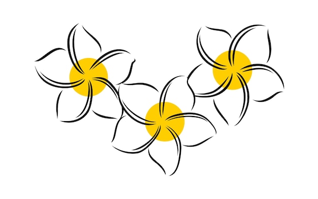 Frangipani o plumeria exótica flor de verano Frangipani grabado aislado en fondo blanco Vector