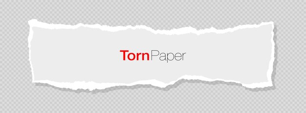 Franja de papel blanca rasgada Chatarra de papel realista con bordes rasgados Papel rasgado para el mensaje Vector