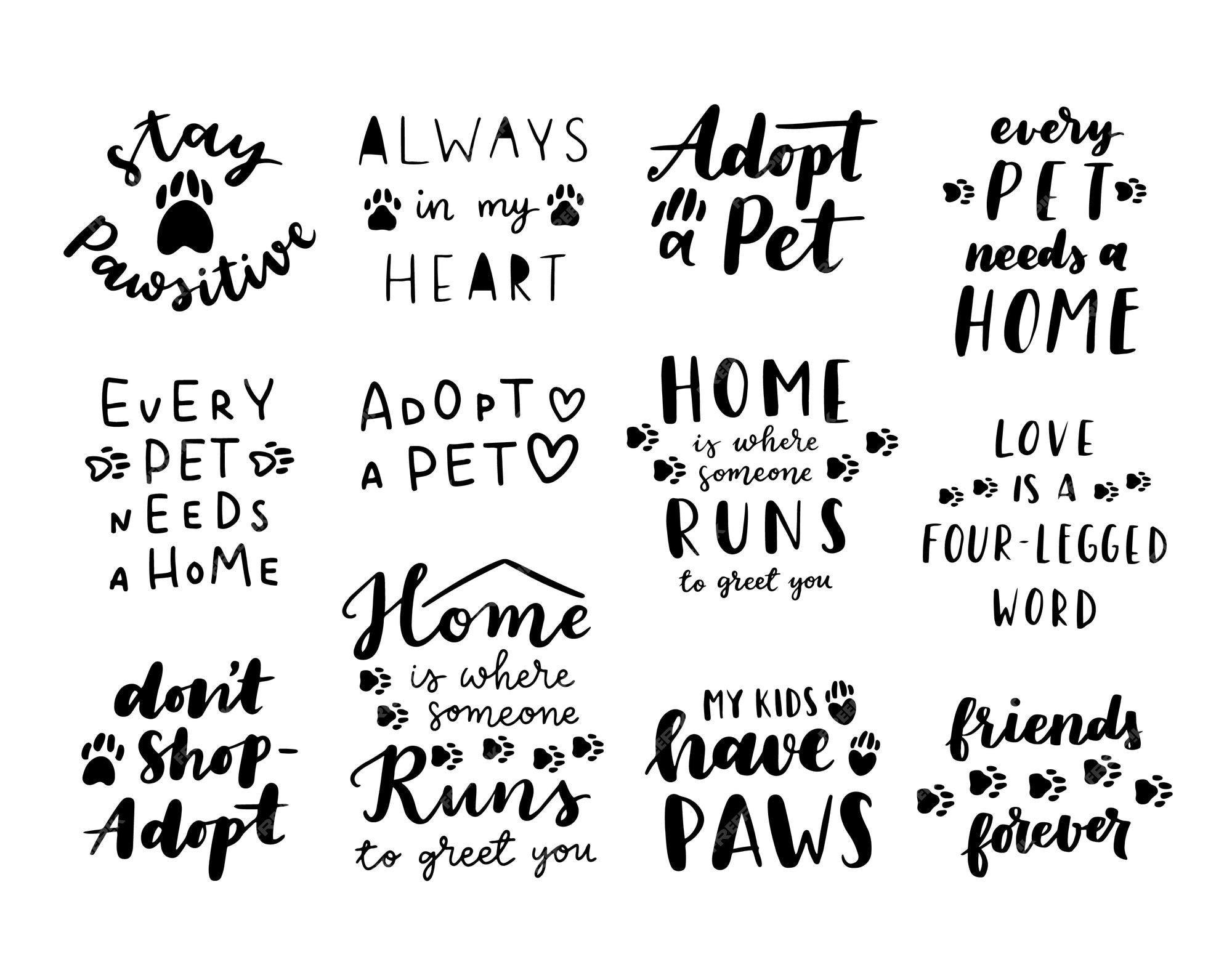Frase de adopción de mascotas en blanco y negro. citas inspiradoras sobre  la adopción de mascotas domésticas. frases escritas a mano. | Vector Premium