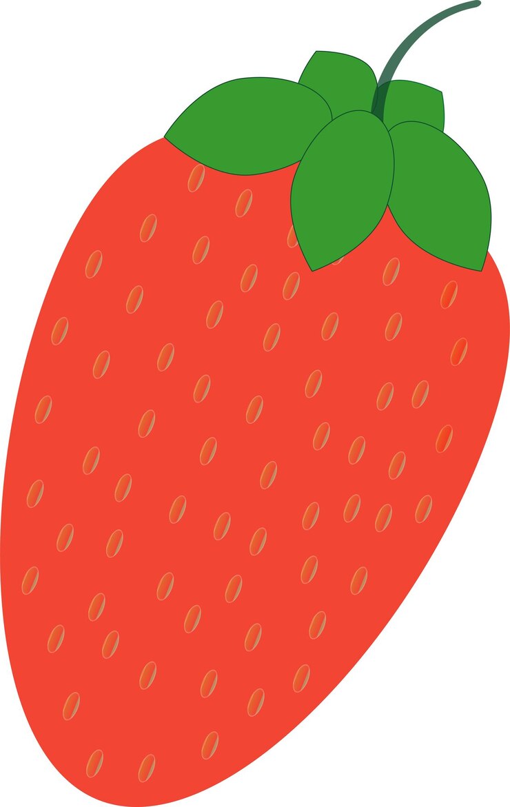 Fresa rojo verano fruta fondo blanco Vector ilustración gráfica