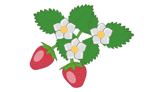 Fresas con adorno de hojas y flores aisladas sobre fondo blanco