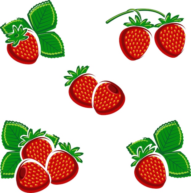 Fresas, conjunto, vector