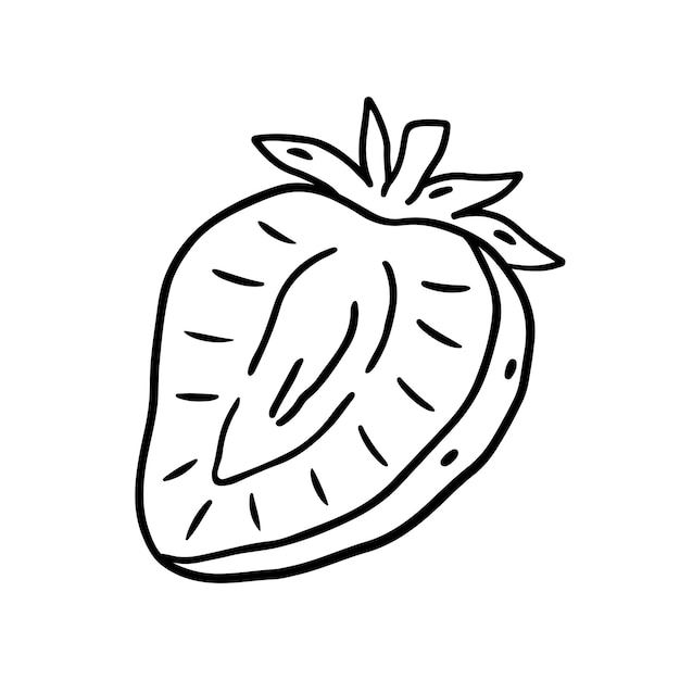 Fresas cortadas aisladas sobre un fondo blanco Ilustración dibujada a mano vectorial en estilo contorno Perfecto para tarjetas decoraciones logotipo menú recetas varios diseños