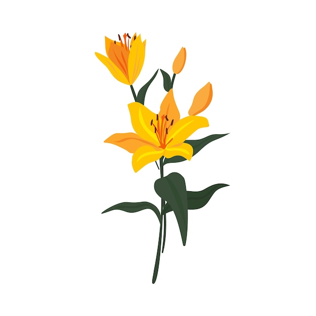 Frescas flores de lirio amarillo radiantes flores de jardín de primavera