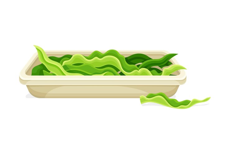 Vector fresh leaves of spirulina on ceramic plate organic dietary supplement antioxidant superfood vector illustration