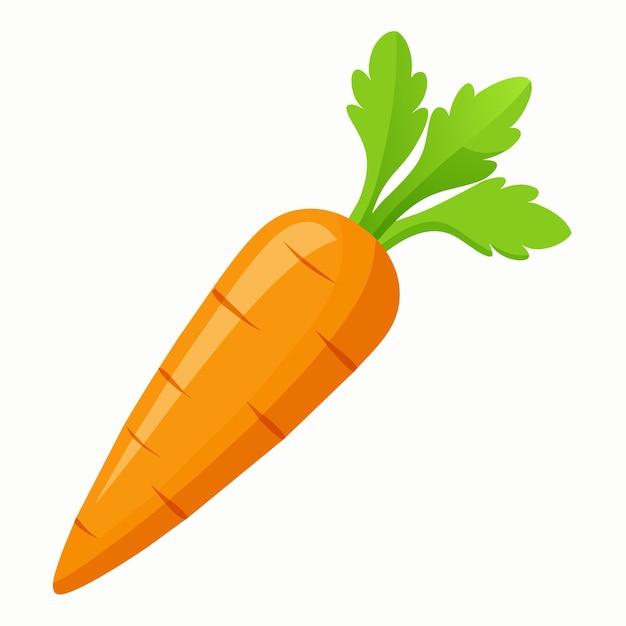 Fresh amp Vibrant Carrot Vector Ilustraciones Elevan sus diseños