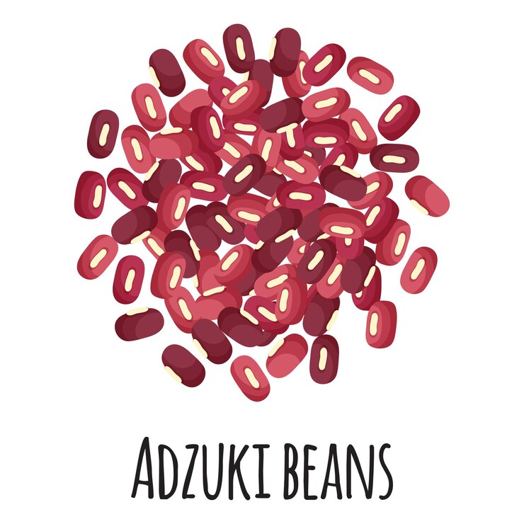 Vector frijoles adzuki para el diseño, la etiqueta y el embalaje del mercado del granjero de la plantilla. súper alimento orgánico de proteína de energía natural.