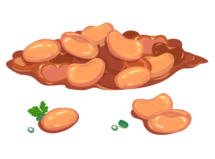 Vector frijoles enlatados en salsa de tomate aislados sobre fondo blanco ilustración vectorial detallada