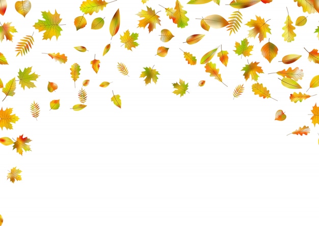 Frontera de coloridas hojas de otoño aislado en blanco.