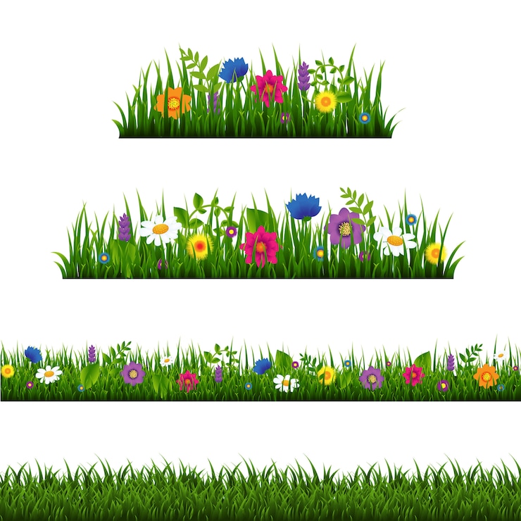 Vector frontera de hierba con la colección de flores aislada