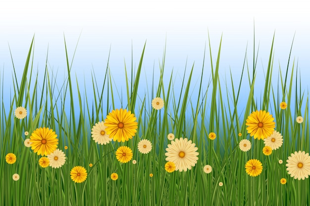 Vector frontera de hierba y flores de primavera, elemento de decoración de tarjeta de felicitación de pascua. fondo de primavera o verano, día soleado con flores y césped