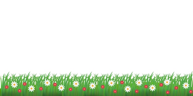 Frontera de hierba y flores de primavera ilustración vectorial