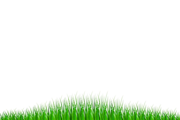 Frontera de hierba Fondo natural de verano hierba verde Ilustración vectorial Eps 10 Imagen de stock