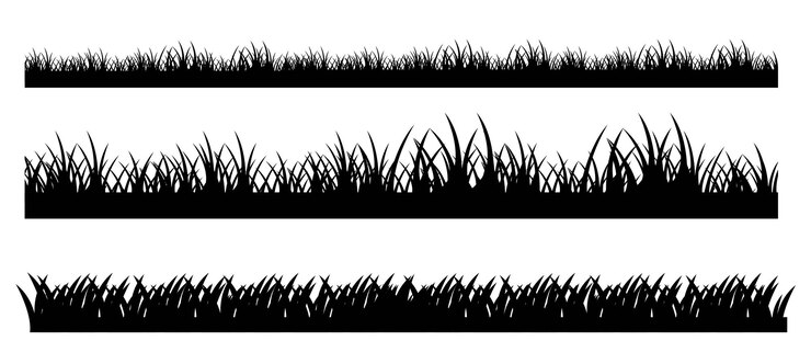 Vector frontera de hierba negra aislada sobre fondo blanco, ilustración vectorial