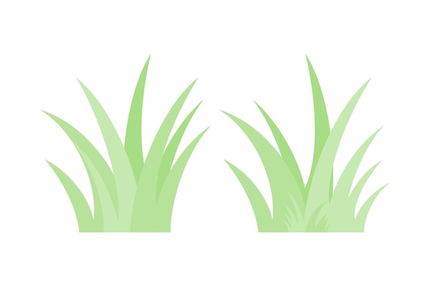 Frontera de hierba verde con ilustración de vector de fondo blanco