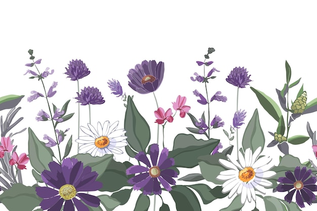Frontera de patrón sin costuras floral vectorial Camomila gaillardia salvia romero quinua en un blanco