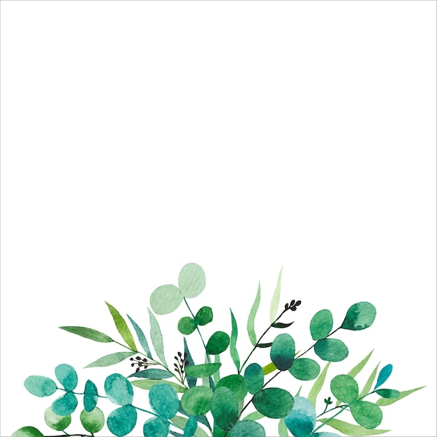 Frontera con ramas de eucalipto Ilustración botánica dibujada a mano