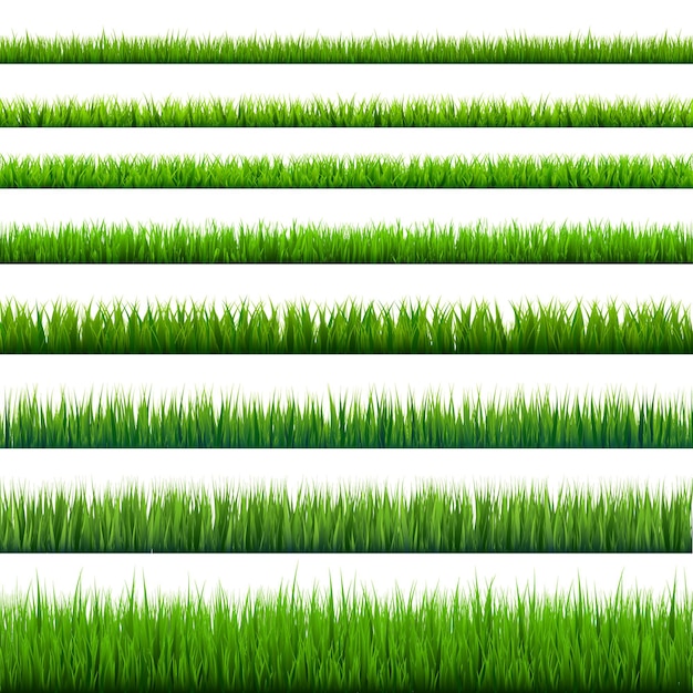 Fronteras de hierba colección de prado verde naturaleza fondo vector de elemento de diseño de tarjetas de Pascua