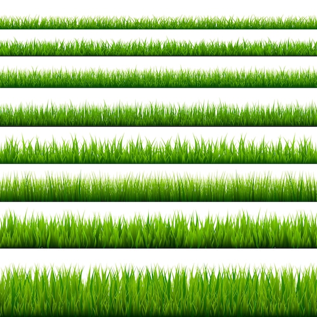 Fronteras de hierba colección de prado verde naturaleza fondo vector de elemento de diseño de tarjetas de Pascua