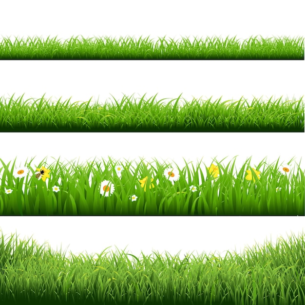 Vector fronteras de hierba y flores conjunto ilustración