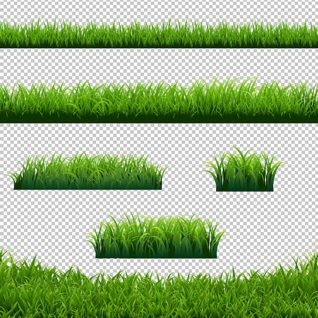 Fronteras hierba verde gran conjunto ilustración fondo transparente
