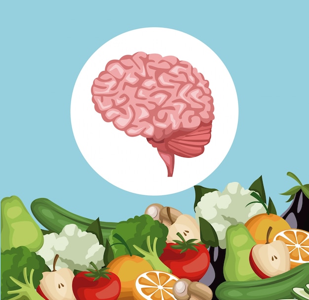 Vector fronterizas verduras y frutas alimentos saludables para órgano cerebral