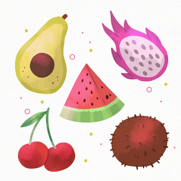 Vector fruta de acuarela pintada a mano.