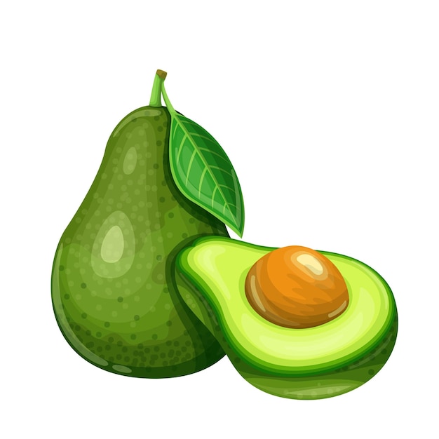 Fruta de aguacate en estilo de dibujos animados.
