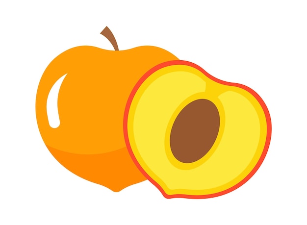 Vector fruta de albaricoque con rebanada ilustración vectorial