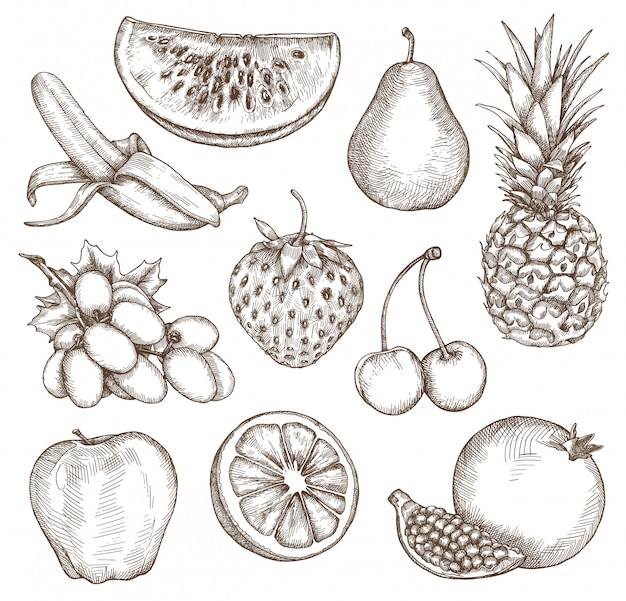 Vector fruta, bocetos, dibujo a mano, conjunto de vectores