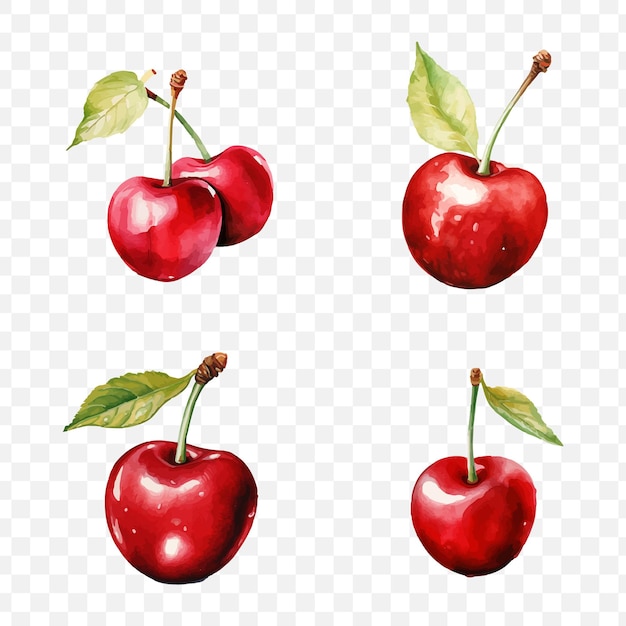 Fruta de cereza en el estilo de dibujo de acuarela