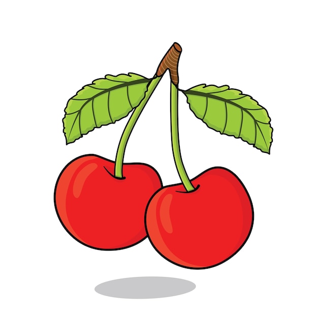 Fruta de cereza Fruto de cereza dulce Icono de cereza roja Vector de cerezas maduras